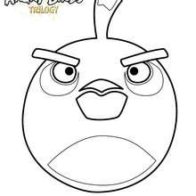 L'oiseau Bombe de ANGRY BIRDS - Coloriage - Coloriage ANGRY BIRDS