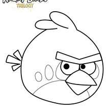 L'oiseau Rouge dans Angry Birds - Coloriage - Coloriage ANGRY BIRDS