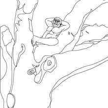 Coloriage : Australopithèque dans un arbre