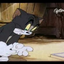 Tom & Jerry Episode 6 : Jerry travesti - Vidéos - Vidéos de DESSINS ANIMES - Vidéo TOM & JERRY