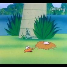 Dessin animé : Daffy Duck : Vidéo 8