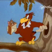 Un aigle vole le sandwich de Tom - Vidéos - Vidéos de DESSINS ANIMES - Vidéo TOM & JERRY