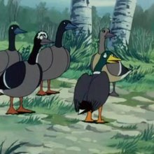Episode 18 : Le grand lac aux oiseaux - Vidéos - Vidéos NILS HOLGERSSON au pays des oies sauvages