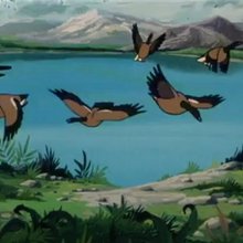 Episode 29 : Gorgo, l'aigle - Vidéos - Vidéos NILS HOLGERSSON au pays des oies sauvages