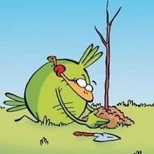 Leçon de jardinage - Lecture - BD pour enfant - Le Piou, l'oiseau le plus idiot de tous - Le Piou : IDIOT D'OISEAU
