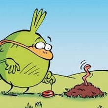 Le ver de terre - Lecture - BD pour enfant - Le Piou, l'oiseau le plus idiot de tous - Le Piou : IDIOT D'OISEAU