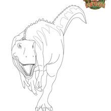 Coloriage tyrannosaure : LE ROI - Coloriage - Coloriage MAX DINOTERRA