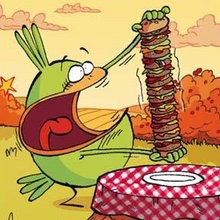Hamburger - Lecture - BD pour enfant - Le Piou, l'oiseau le plus idiot de tous - Le Piou : IDIOT D'OISEAU