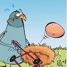 Accident de poussette - Lecture - BD pour enfant - Le Piou, l'oiseau le plus idiot de tous - Le Piou : IDIOT D'OISEAU