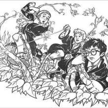 Coloriage Harry Potter : L'attaque des plantes