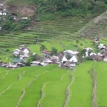 Reportage : Les rizières en terrasses des cordillères des Philippines