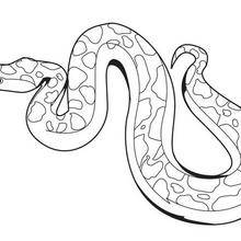 Coloriage d'un serpent totem