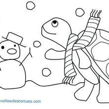 Coloriage d'une tortue en hiver