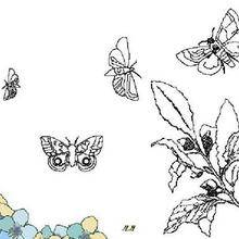Coloriage de papillons qui volent