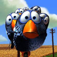 Pixar birds