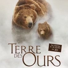 Terre des Ours : Cahier de jeux à imprimer