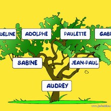 Activité : Comment faire ton arbre généalogique ?