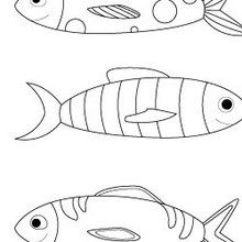 Coloriage application Jedessine : Trois poissons d'avril