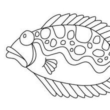 Coloriage application Jedessine : Gros poisson d'avril