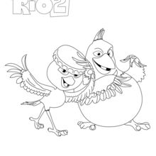 Coloriage : Nico et Pedro, les oiseaux rigolos de RIO 2