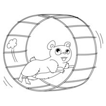 Hamster dans sa roue