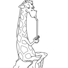 Coloriage : Girafe buvant un cocktail