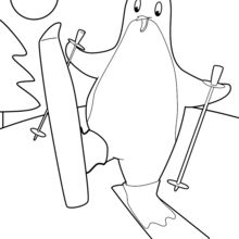 Coloriage : Pingouin au ski