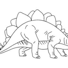 Coloriage : Le Stegosaurus