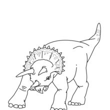 Coloriage : Tricératops à l'attaque