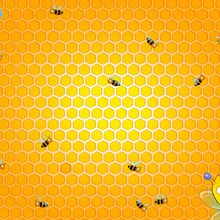 Fond d'écran : Abeilles dans leur ruche