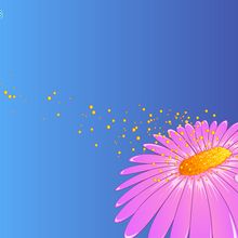 Fond d'écran : Fleur et pollen