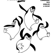 Coloriage : Les pingouins de Madagascar