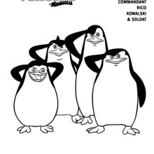 Coloriage : Les pingouins