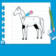 Leçon de dessin : Dessiner un cheval
