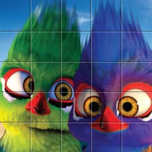 Puzzle : Les Gossip Birds
