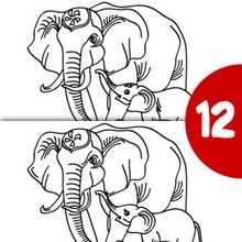Jeu des différences : Maman éléphant et son petit