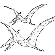 Coloriage : Ptérosaures