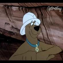 Dessin animé : Scooby & Scrappy Doo Episode 5 : Le Chasseur de papillons