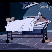 Dessin animé : Scooby & Scrappy Doo Episode 7 : L'Anniversaire de Scrappy