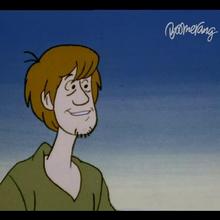 Dessin animé : Scooby & Scrappy Doo Episode 8 : Scooby à la montagne