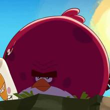 épisode d'Angry Birds : Jardinage avec Terence