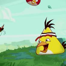 épisode d'Angry Birds : Le temps selon de Chuck