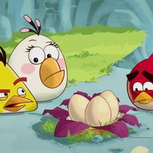 épisode d'Angry Birds : Le son des oeufs