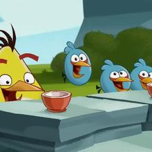 épisode d'Angry Birds : Cordon Bleu