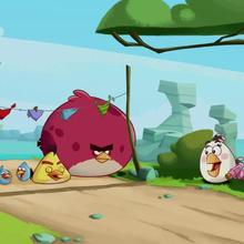 épisode d'Angry Birds : Course d'oiseaux