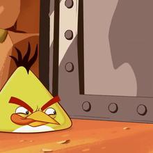 épisode d'Angry Birds : Les portes de Pig City