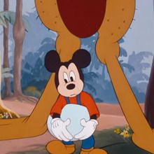 Dessin animé : Mickey, Pluto et l'autruche