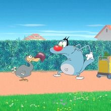 Dessin animé : Oggy et le Dodo