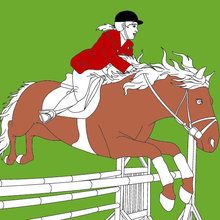 sport, Coloriages sur l'équitation