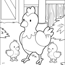 Coloriage : Mère poulet et ses bébés